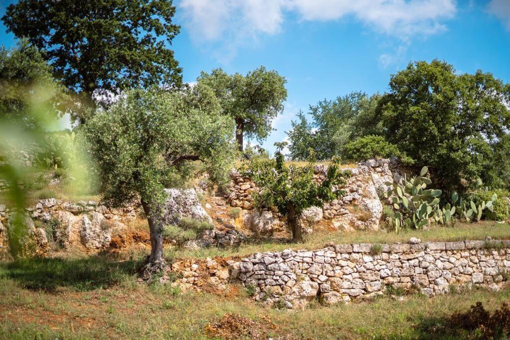 Trullo Caelum Villa Alberobello Kültér fotó